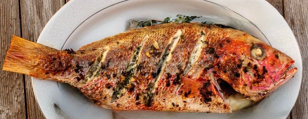 Snapper Meals