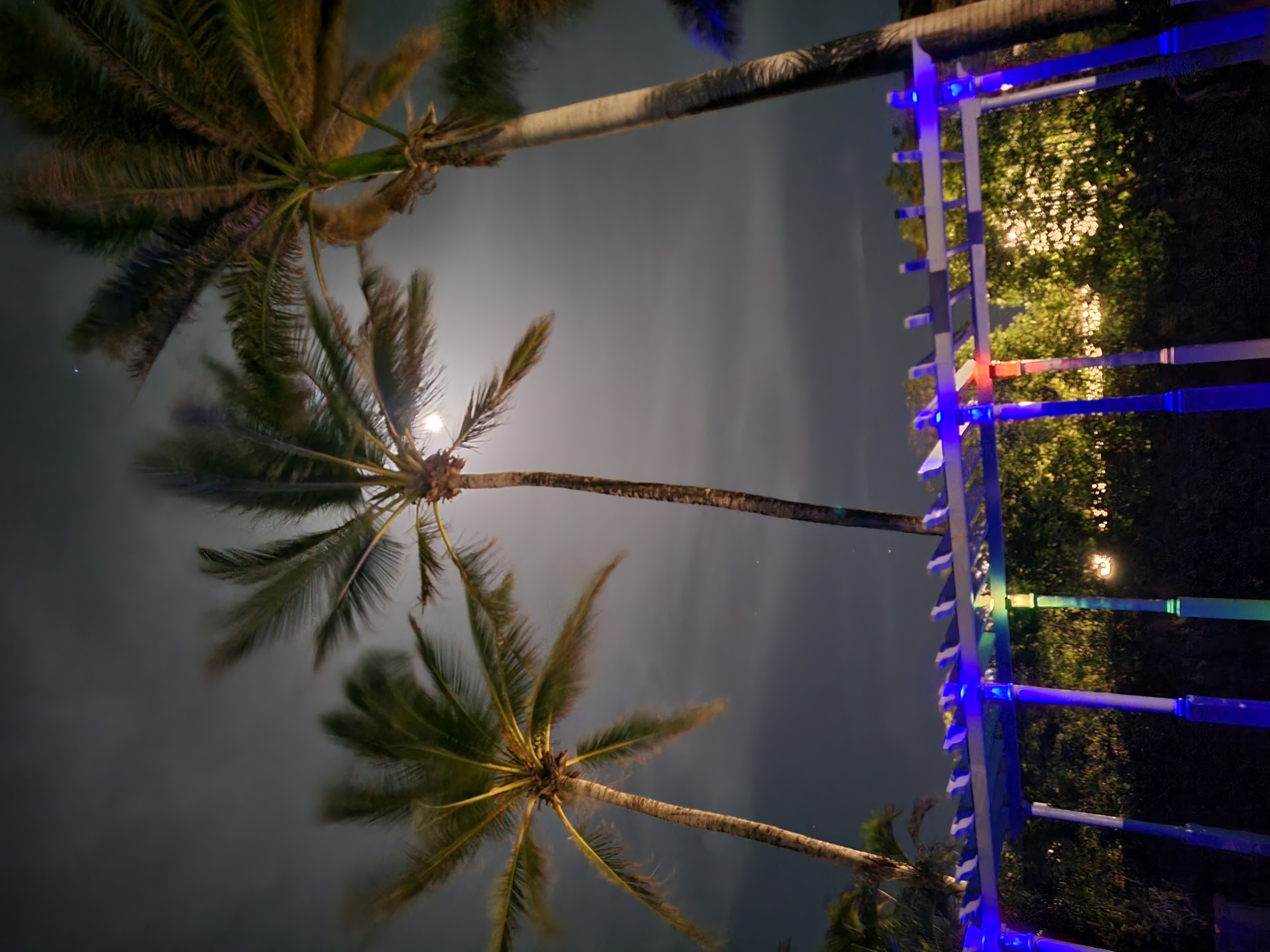 night sky over pool