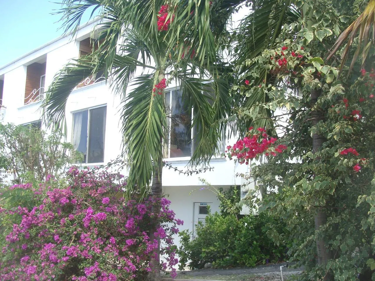 Coral Lane Beach Apartments